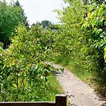 Ferienpark Krüseliner Mühle - *