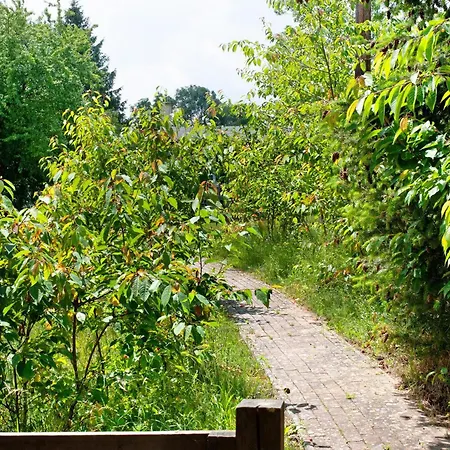 Parque de vacaciones Krüseliner Mühle - *